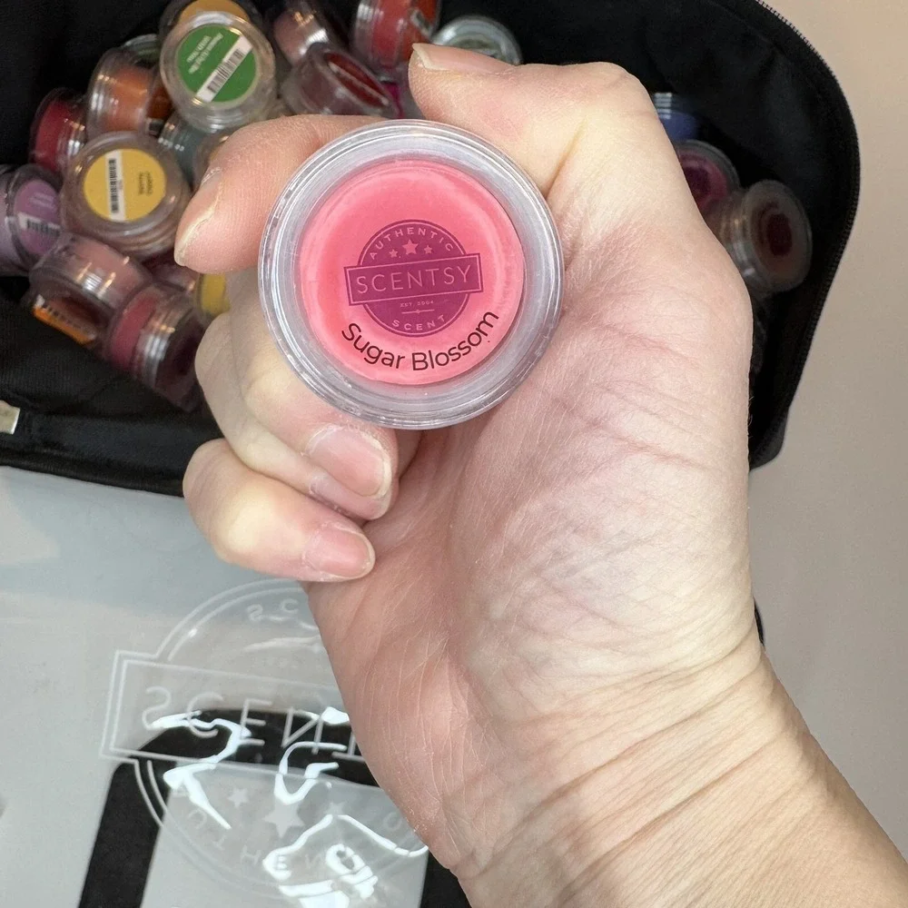 Scentsy Huge Lot of 66 Party Testers Wax Melts Samples Scentsy Samples in Bag